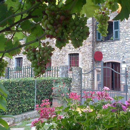 Villa Agriturismo A Veggia Vigna à Garlenda Extérieur photo