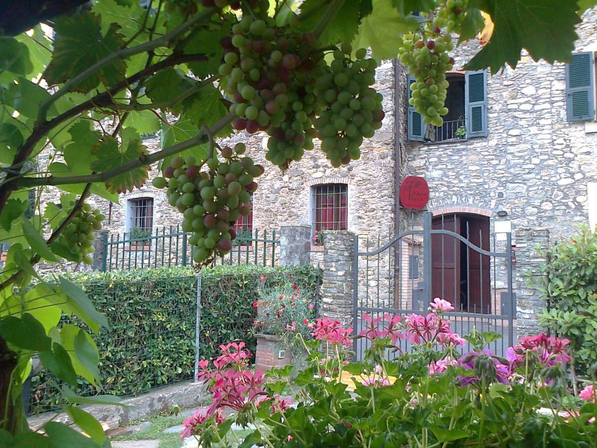 Villa Agriturismo A Veggia Vigna à Garlenda Extérieur photo